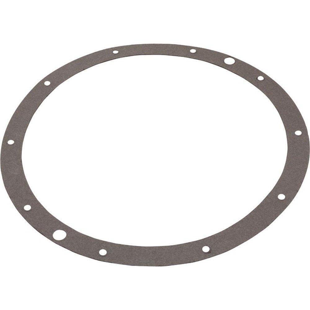 G-96 SPX506D Gasket hayward 10 hole light gasket