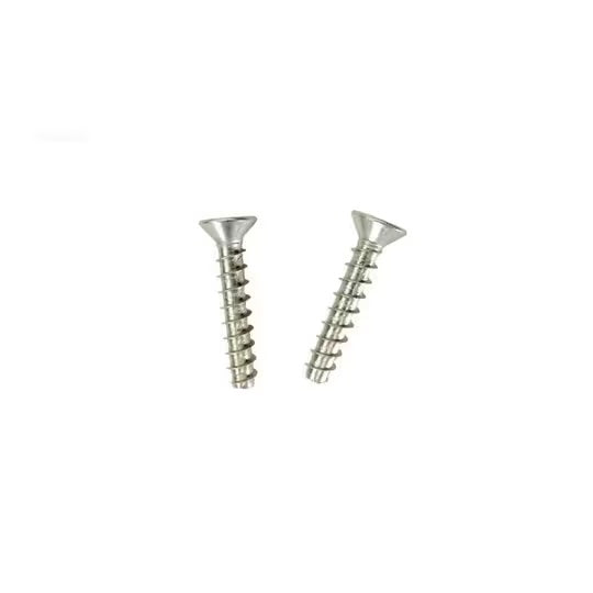 In Ground Skimmer Faceplate Screw Set 12 Count