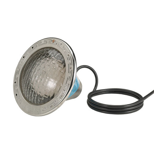 Amerlight Light 500W 120V 50 Ft Cord AP78458100