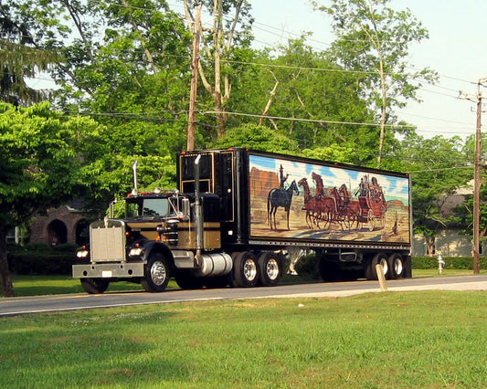 Palmetto Vermiculite Trailer and Delivery